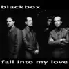 Black Box - Fall into My Love - Single
